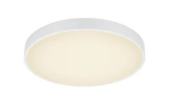 Plafonder-Trio Lighting Waco Plafond LED 49cm mattvit