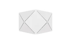 Lampetter-Trio Lighting Zandor Vägglampa LED 18cm mattvit